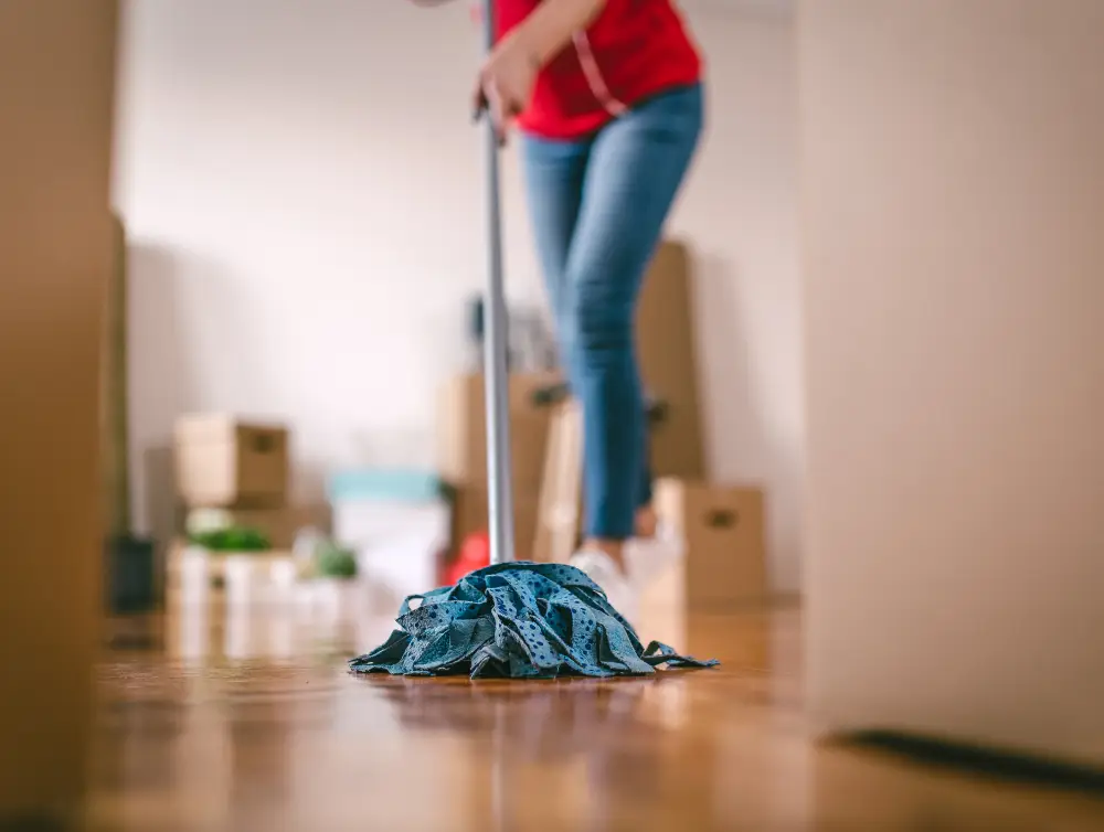 deep cleaning