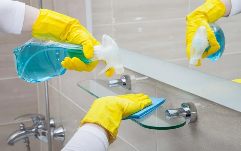 Bathroom Cleaning